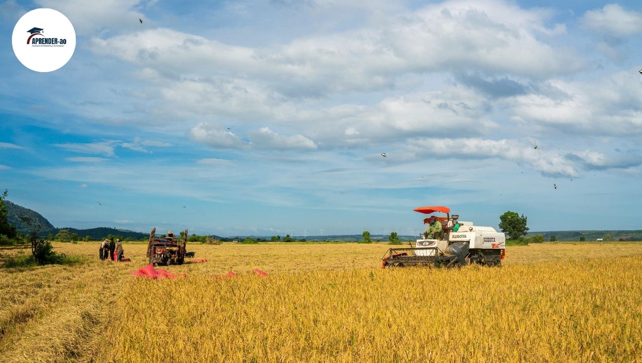Cooperativismo e Associativismo Rural