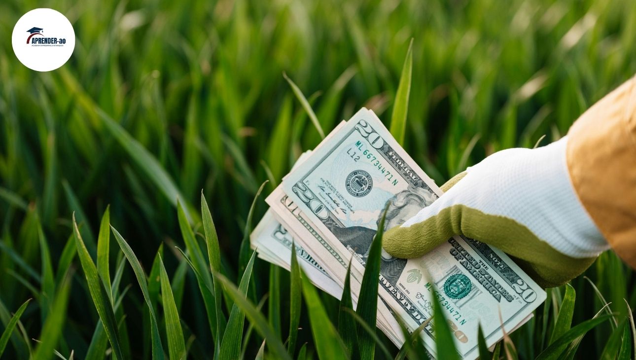 Gestão Financeira no Empreendimento Rural